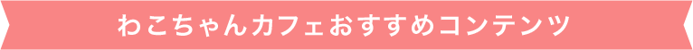 わこちゃんカフェおすすめコンテンツ