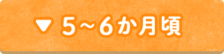5～6か月頃
