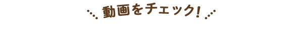 動画をチェック