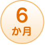 6か月